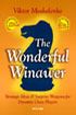 http://myshop.s3-external-3.amazonaws.com/shop2176300.pictures.The Wonderful Winawer.jpg